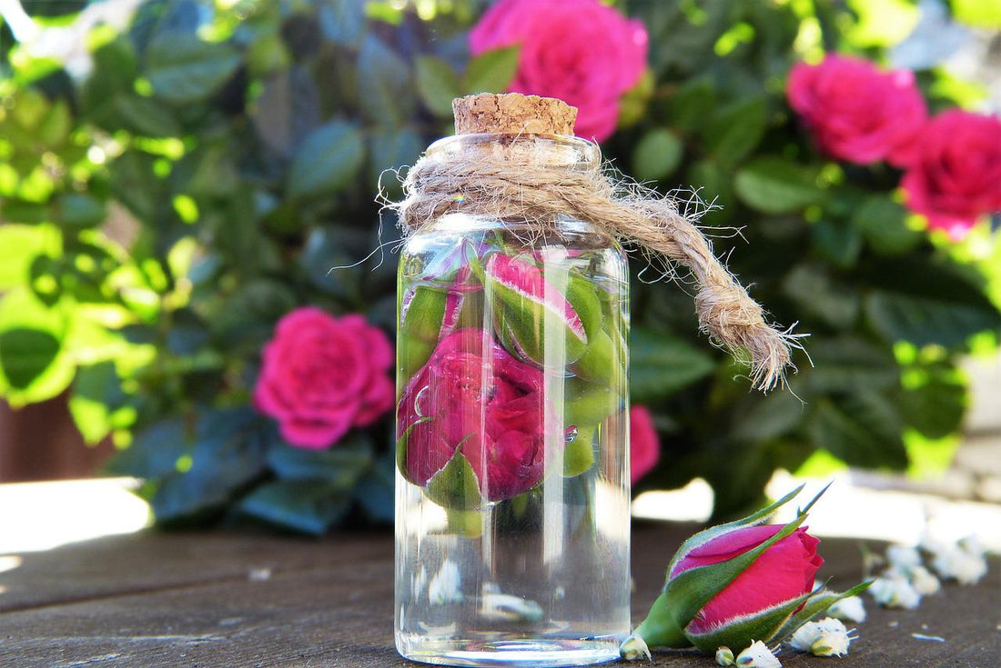 DIY rose water packs for skin